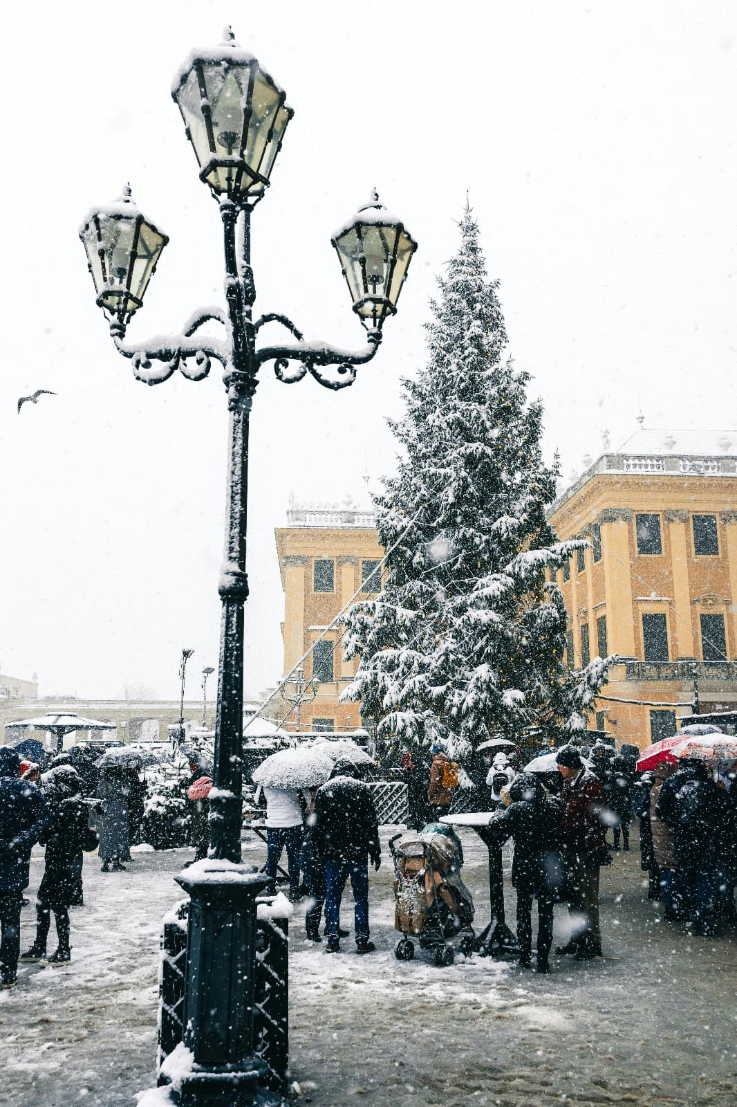 Christmas Market Schloss Schönbrunn - Photo 2